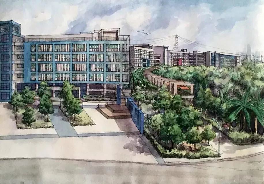 冬天到了作文300字二年级,冬天到了的作文100字