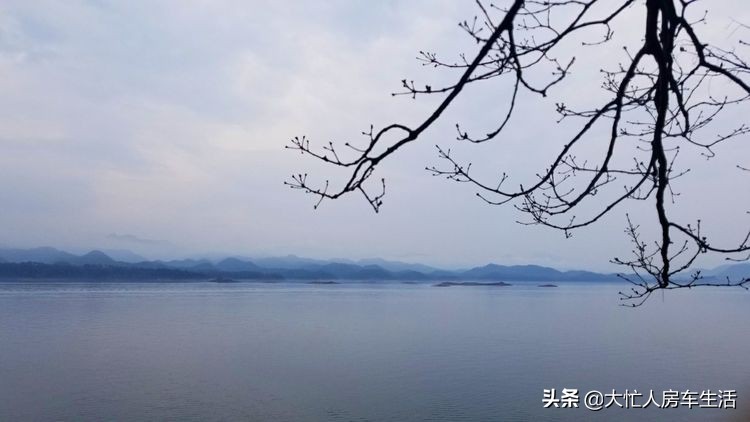 浙江千岛湖月光岛,千岛湖月光岛白天游玩攻略