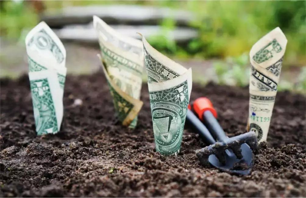 金牌基金变为庞氏*局骗**？澳洲受害人2400万澳元或仅追回十分之一