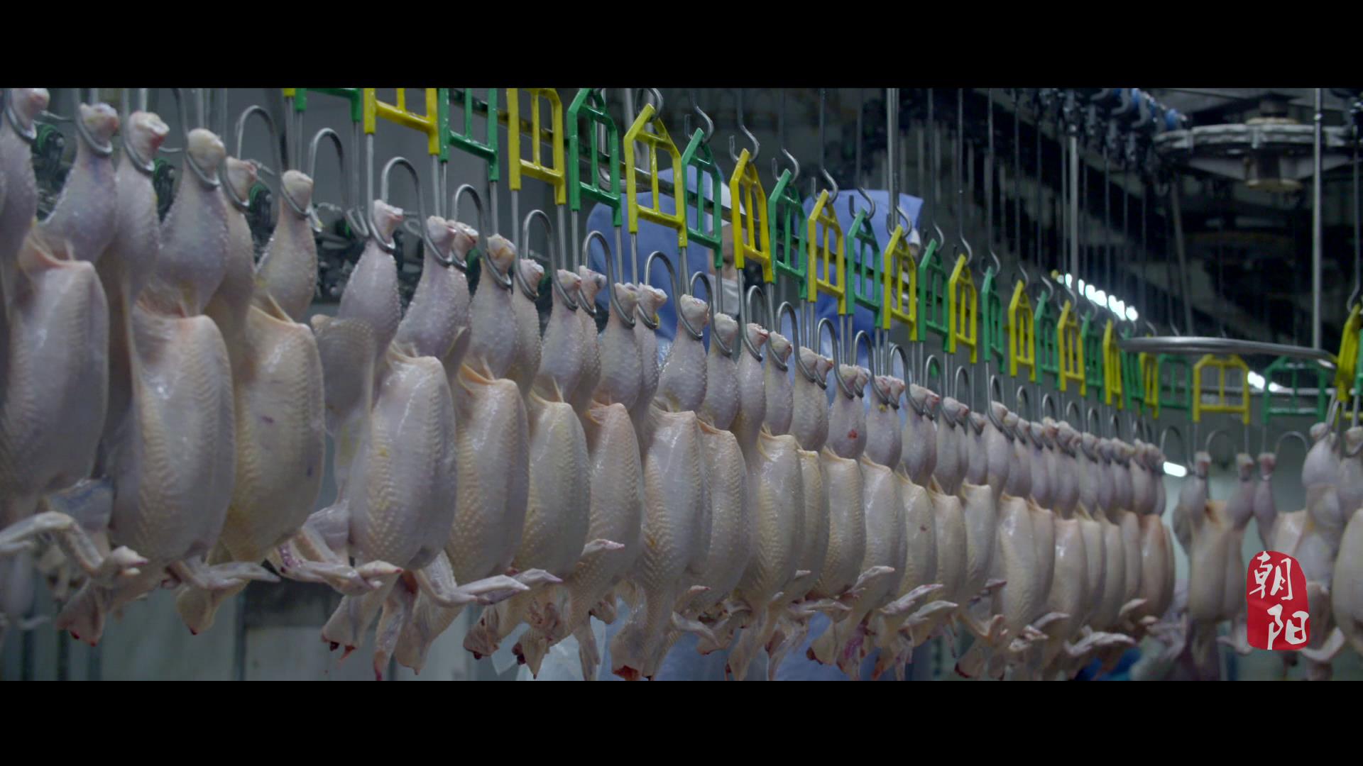 朝阳特色农产品哪里买,朝阳农产品市场