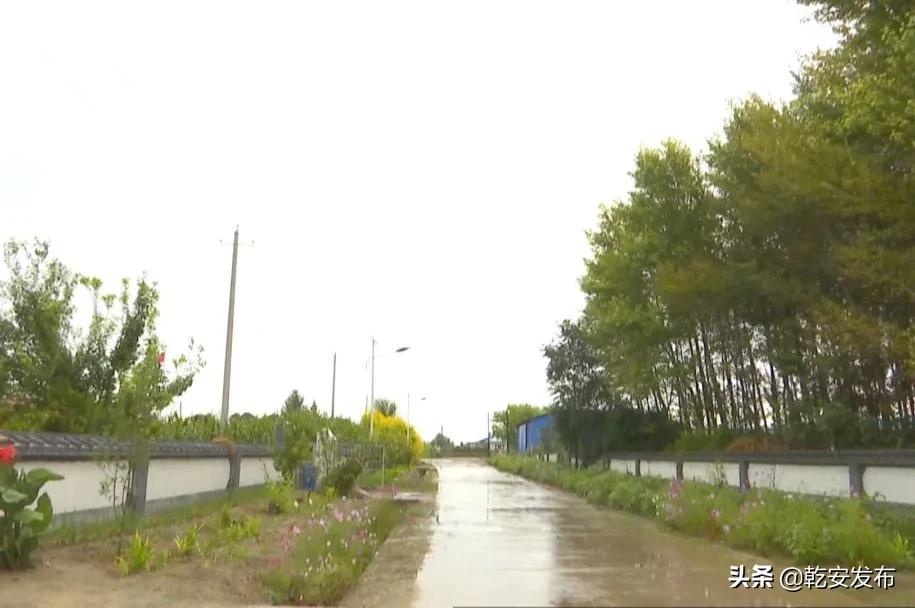 乡村振兴新邵乡镇在行动,乡村振兴再发力宜居宜业谱新篇