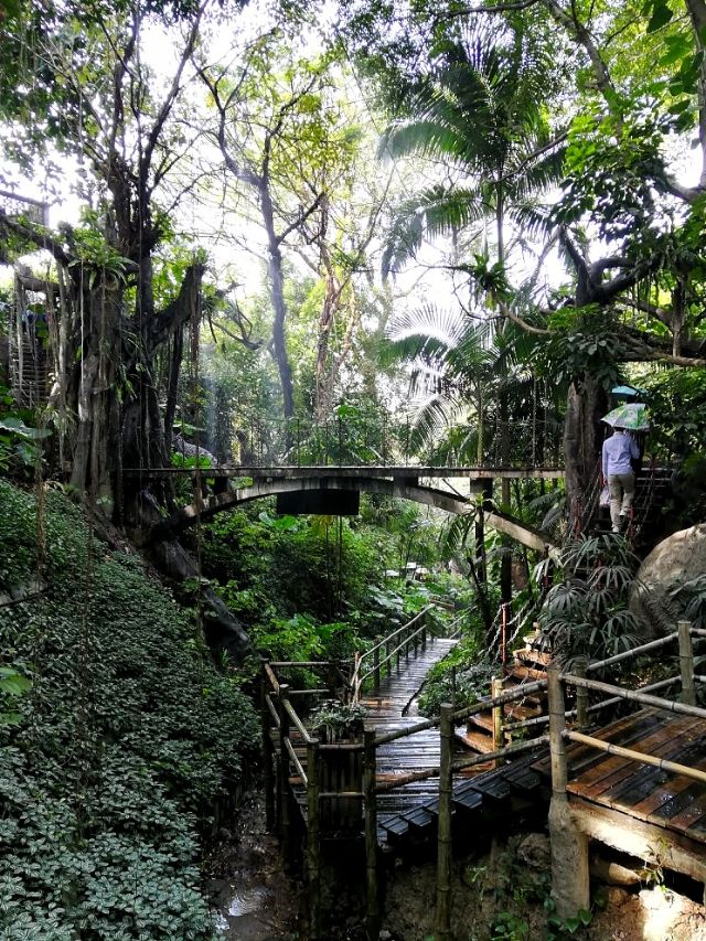 深圳周末好去处大自然,深圳青青世界好玩的景点推荐