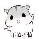 冻卵并非唯一选择,为什么越来越多女性选择冻卵