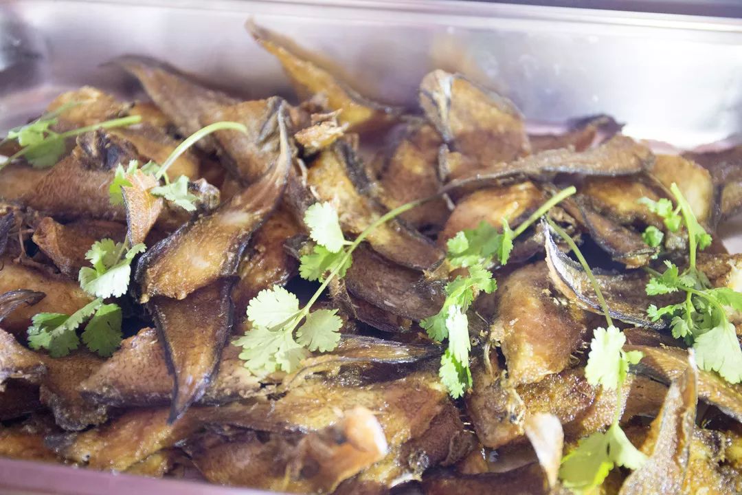 金秋多彩季，春晖幼儿园雨林仙境一日游