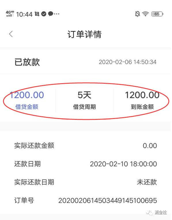 疫情之下2020逆势突围,疫情之下的黑户