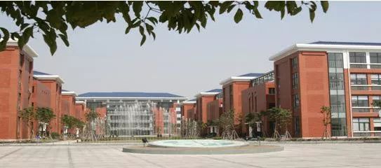 8个“华二”9个“上外”...请问这些学校谁能分得清啊?我太难了