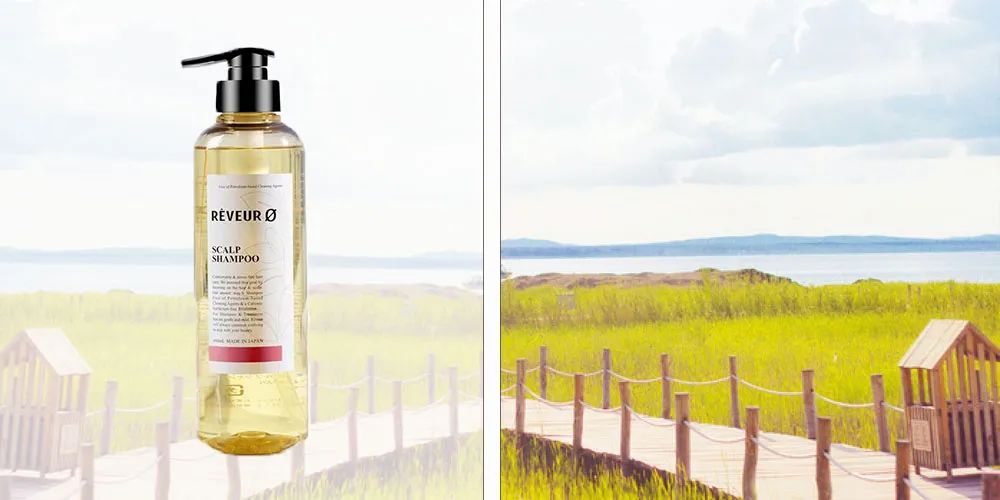 油头去屑控油止痒洗发水排行榜,超级大油头控油洗发水初中生