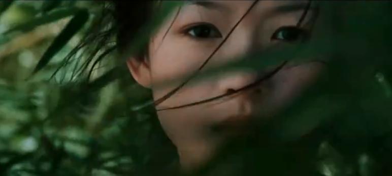 卧虎藏龙恋爱,卧虎藏龙理智与情感