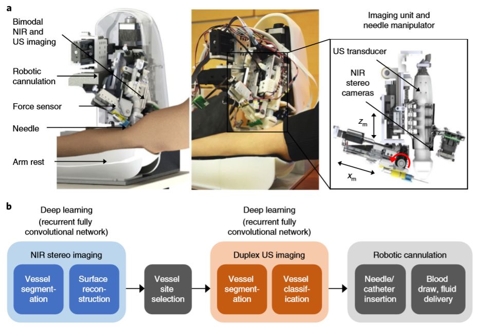 脑科学与人工智能研究报告,脑科学最新突破性发现