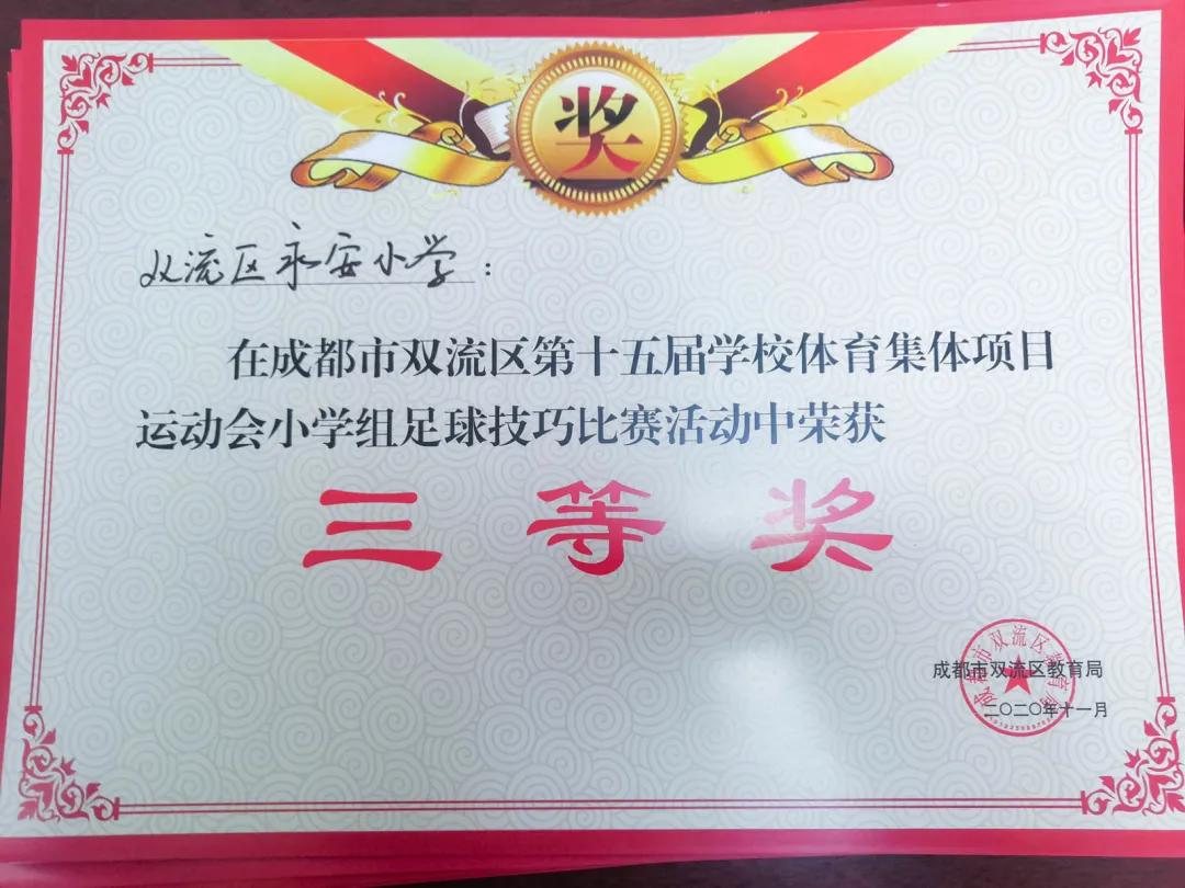 双流永安小学视频,双流永安小学