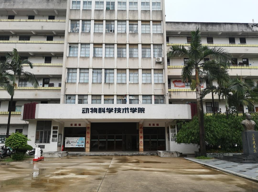 广西大学变化历史,广西大学文科毕业的你后来咋样了