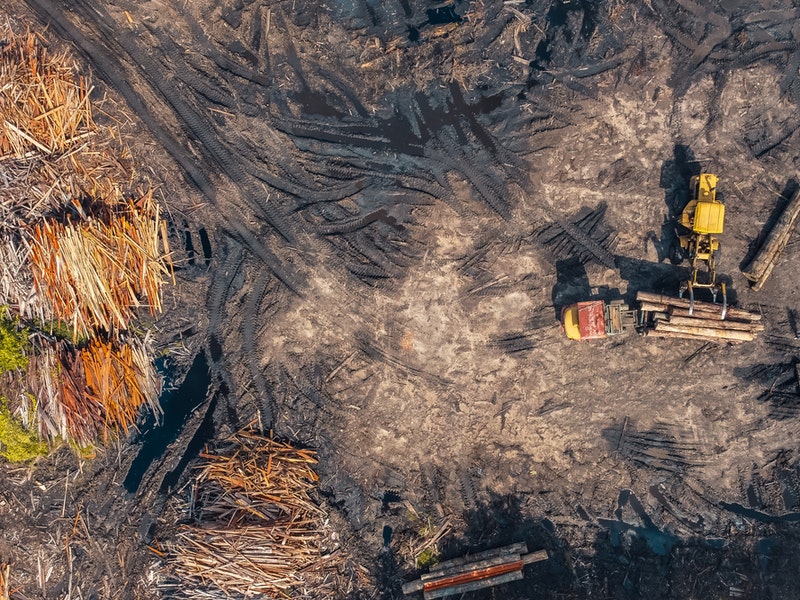 煤炭价格疯涨下的供暖如何生存,煤炭价格快速上涨对供暖安全影响