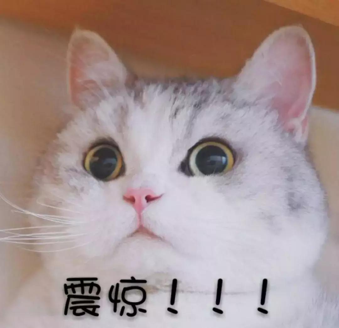 你手机里都有哪些app,你手机里的app在干嘛