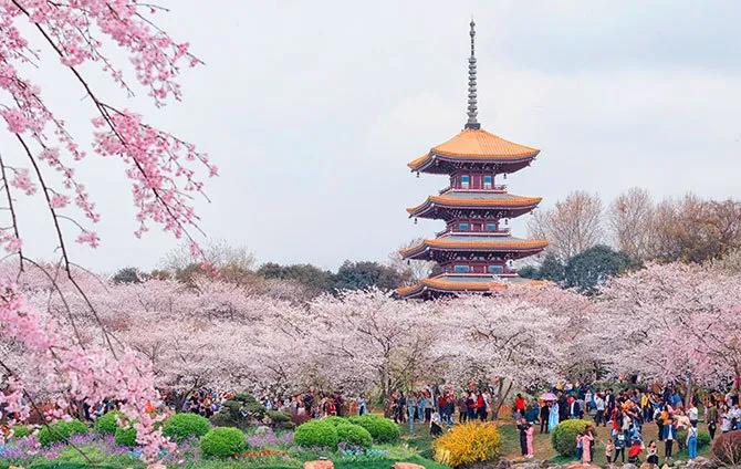火神山外“生死之交”再相逢，武汉，你好