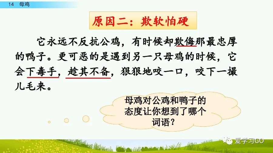四年级下册语文母鸡课文重点讲解,四年级下册语文14课母鸡重点知识