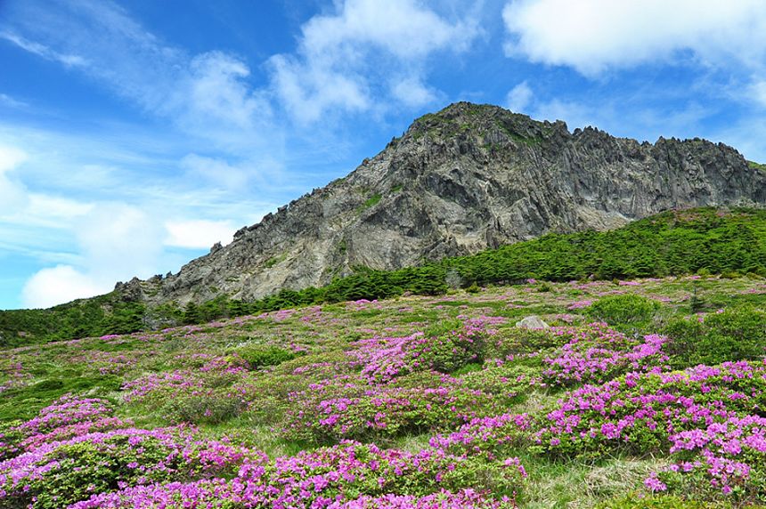 自由行|¥1399合肥直飞济州岛4日游！一次说走就走的免签之旅
