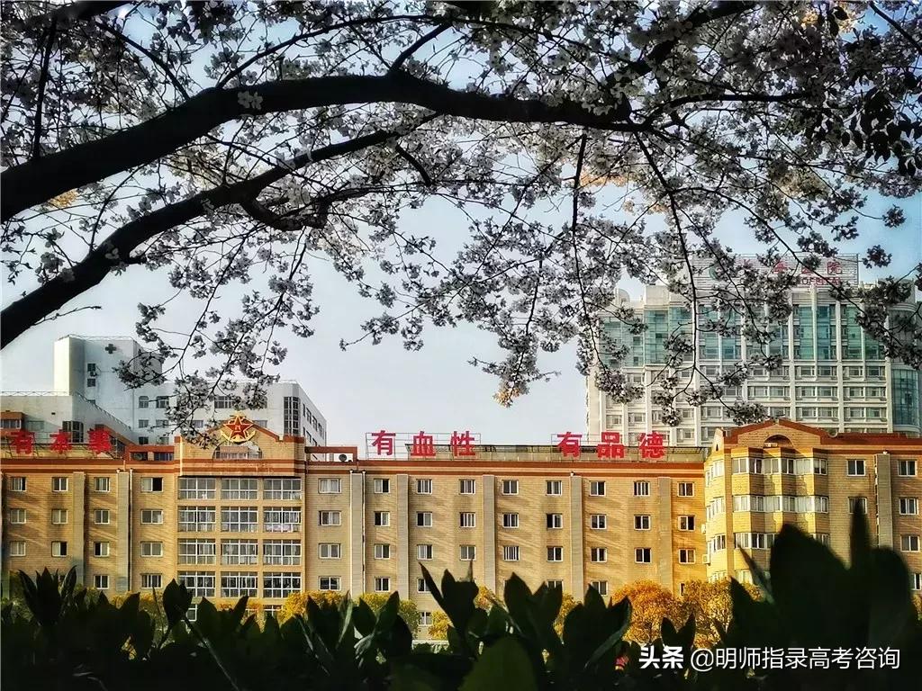 海军五所军校,中国海军五所学校