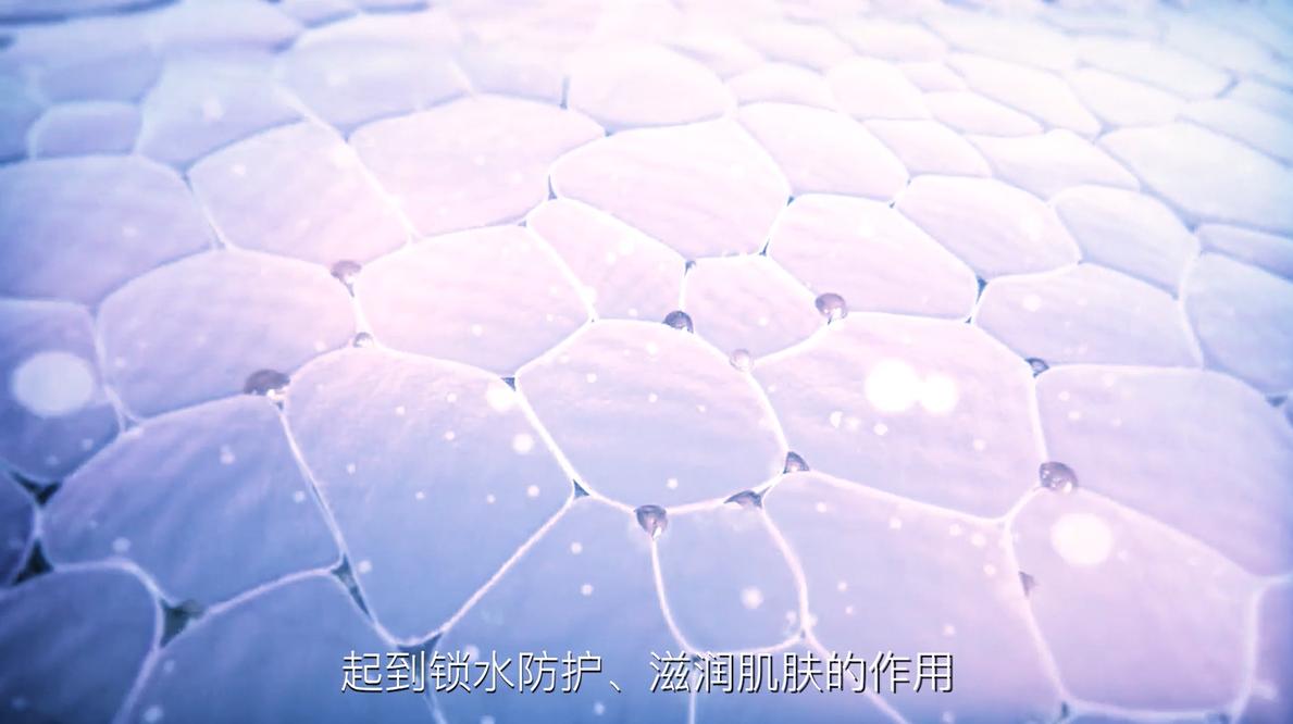 宠物玻尿酸,双分子玻尿酸宠物