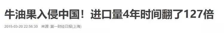 牛油果的骗局是真的吗,牛油果是不是一个骗局