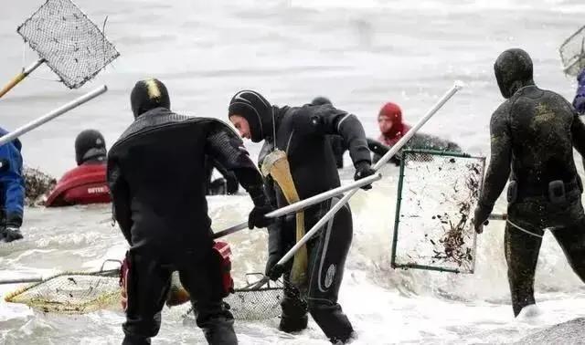 海滩捡蜜蜡,海边捡蜜蜡的利润