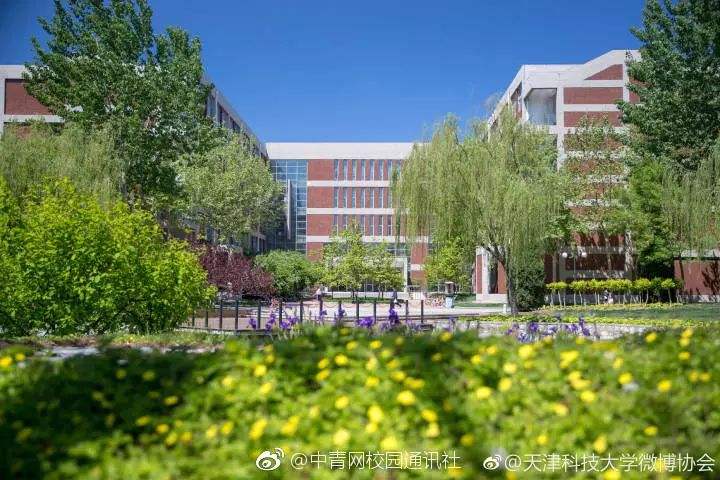 欣然老师指导志愿二本上线同学录取情况(二)