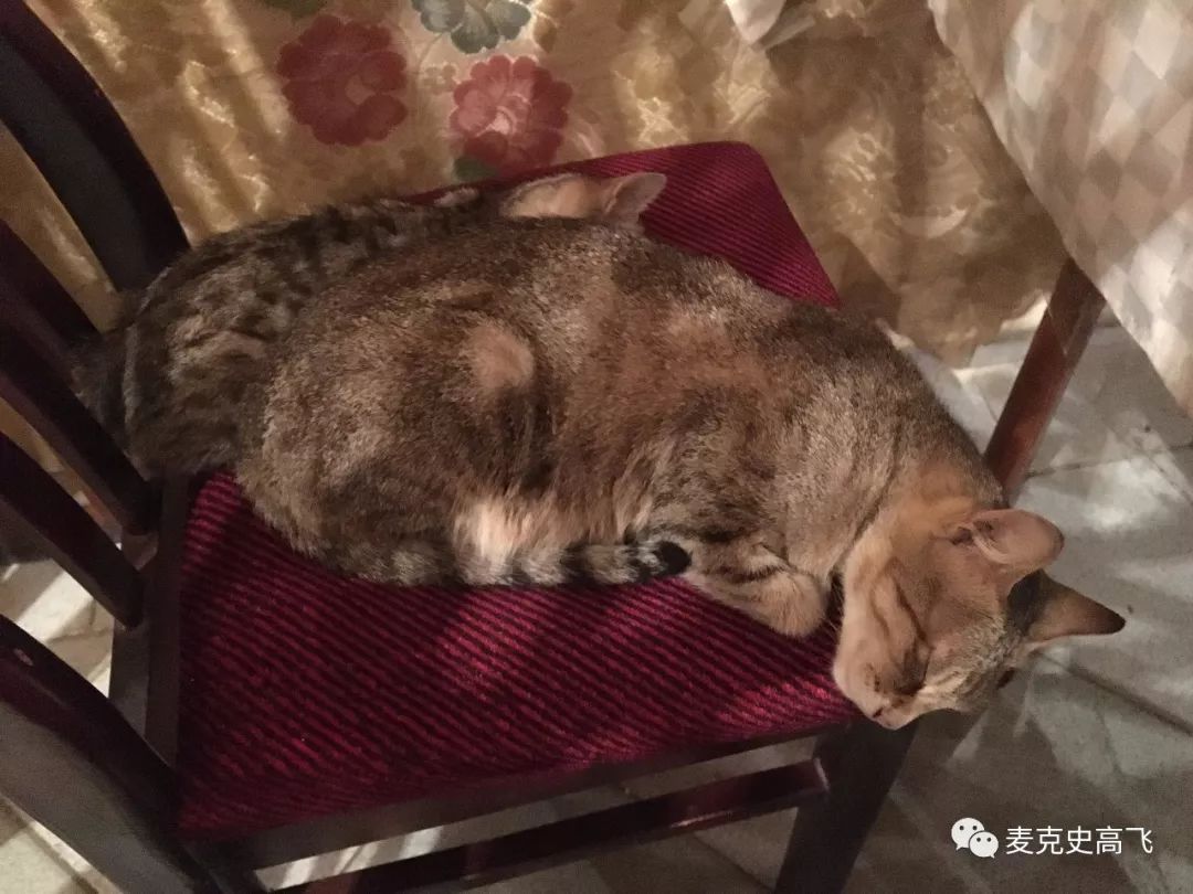 格鲁吉亚vs阿塞拜疆谁厉害,格鲁吉亚和阿塞拜疆哪个强