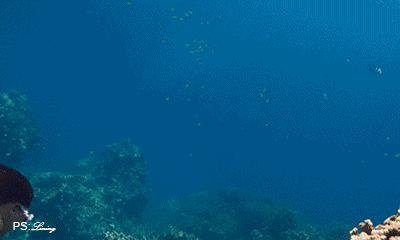 此生必去最美的地方,此生必去的四个海