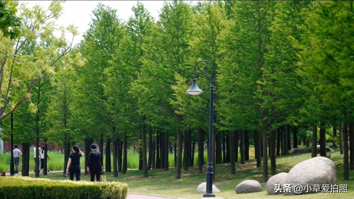 威海十一月羊亭公园,威海羊亭公园最新视频