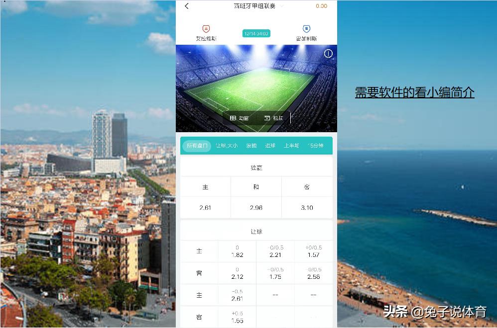 宸磋惃椋庢牸,宸磋惃椋庢牸浼犳壙