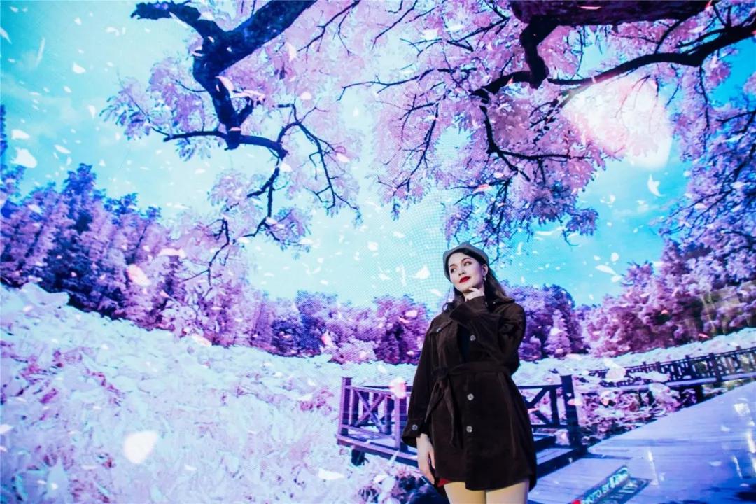 来帝斯曼玩转圣诞新年季，吃喝玩乐超多福利让你爽到飞起