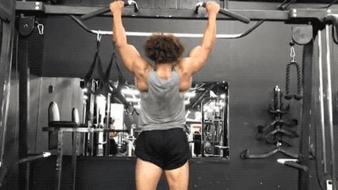 背部训练8个动作高效练背,背部肌肉训练方式练出好看的美背