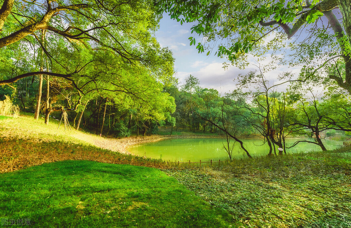 一本书改变了我的命运,一本书改变认知