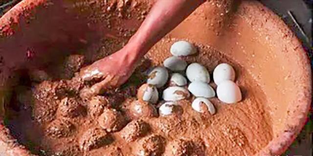 咸鸭蛋蛋黄油是什么,海鸭蛋油到底怎么来的