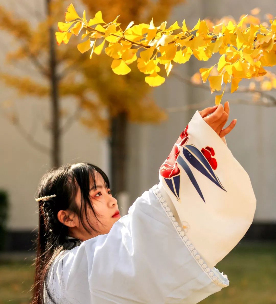 武汉职业技术学院校园风采,武汉职业技术学院风景