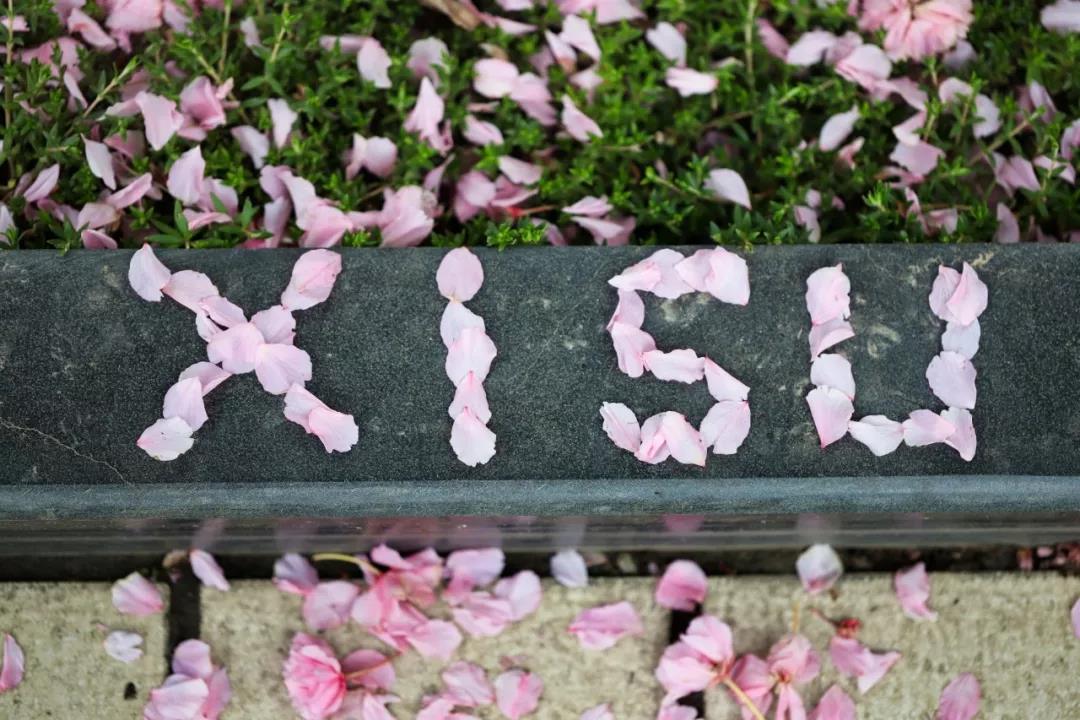 志愿填报英语专业,西安外国语大学征集志愿2023