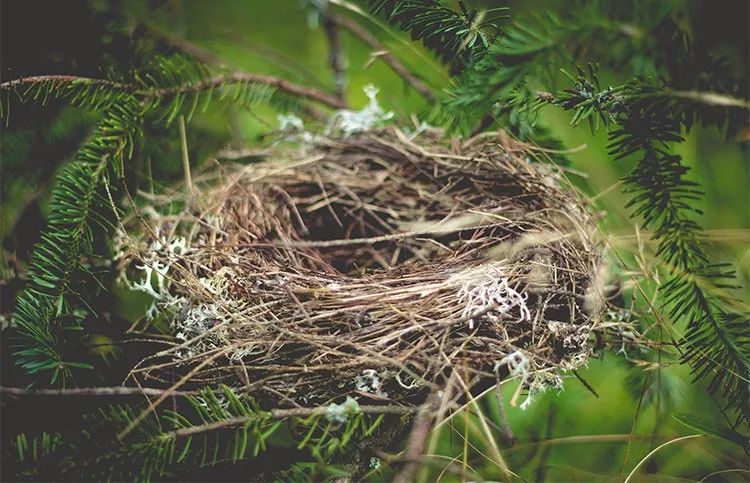 被吹上天的食物其实没什么,被吹上天都没啥用的14种食物
