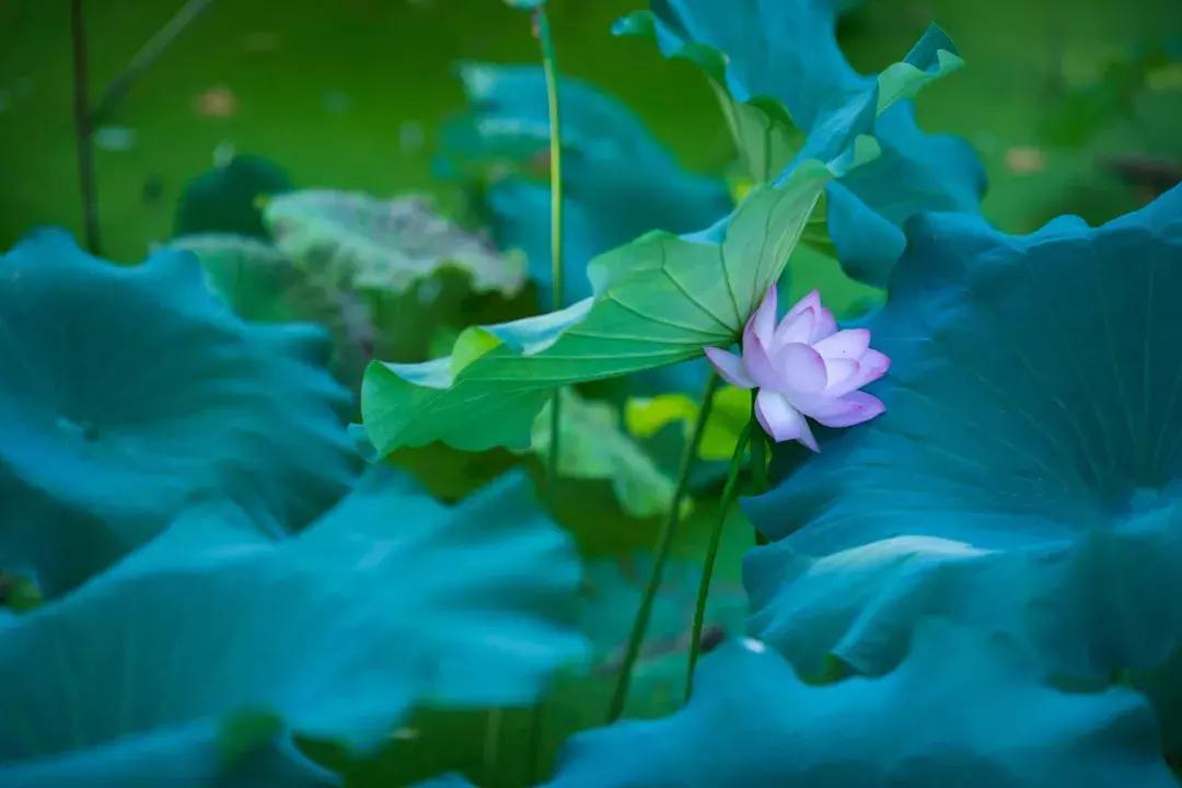 二十七首诗词二十七种人生境界,古诗词中的三种人生境界