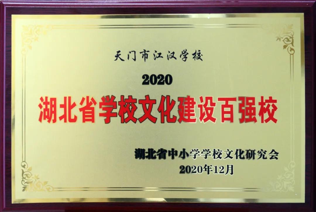2019江汉校园足球,湖北高校足球最厉害大学球队