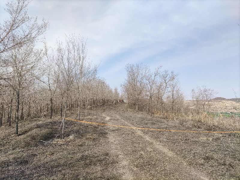 乌鲁木齐免费玩的地方运动场地,乌鲁木齐游玩适合烧烤的地方