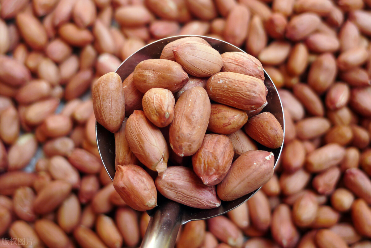 含叶酸多的食物水果蔬菜适合孕妇,孕早期补叶酸食谱大全