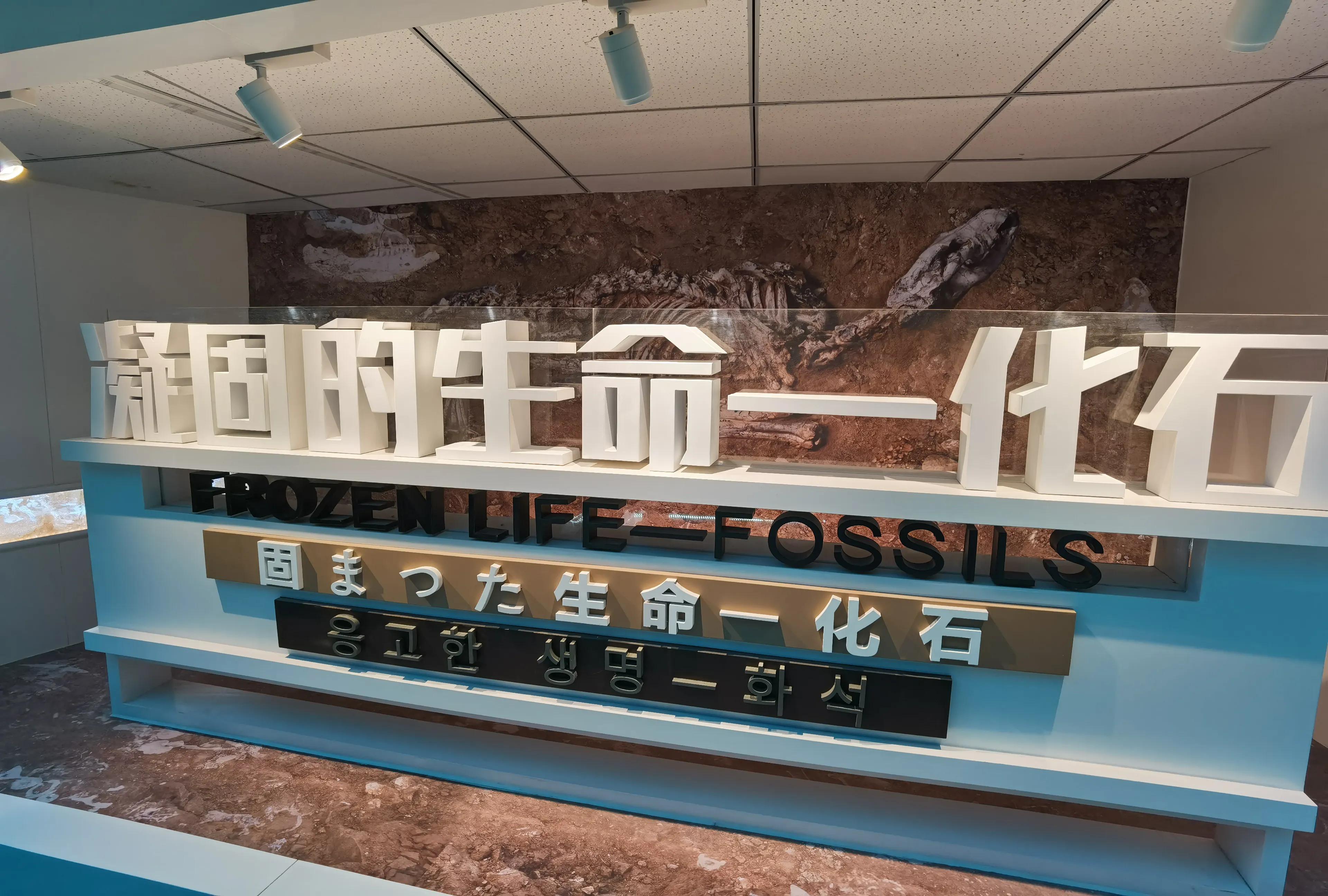 讲好家乡故事助力乡村振兴,讲好乡村振兴故事由哪个部门负责