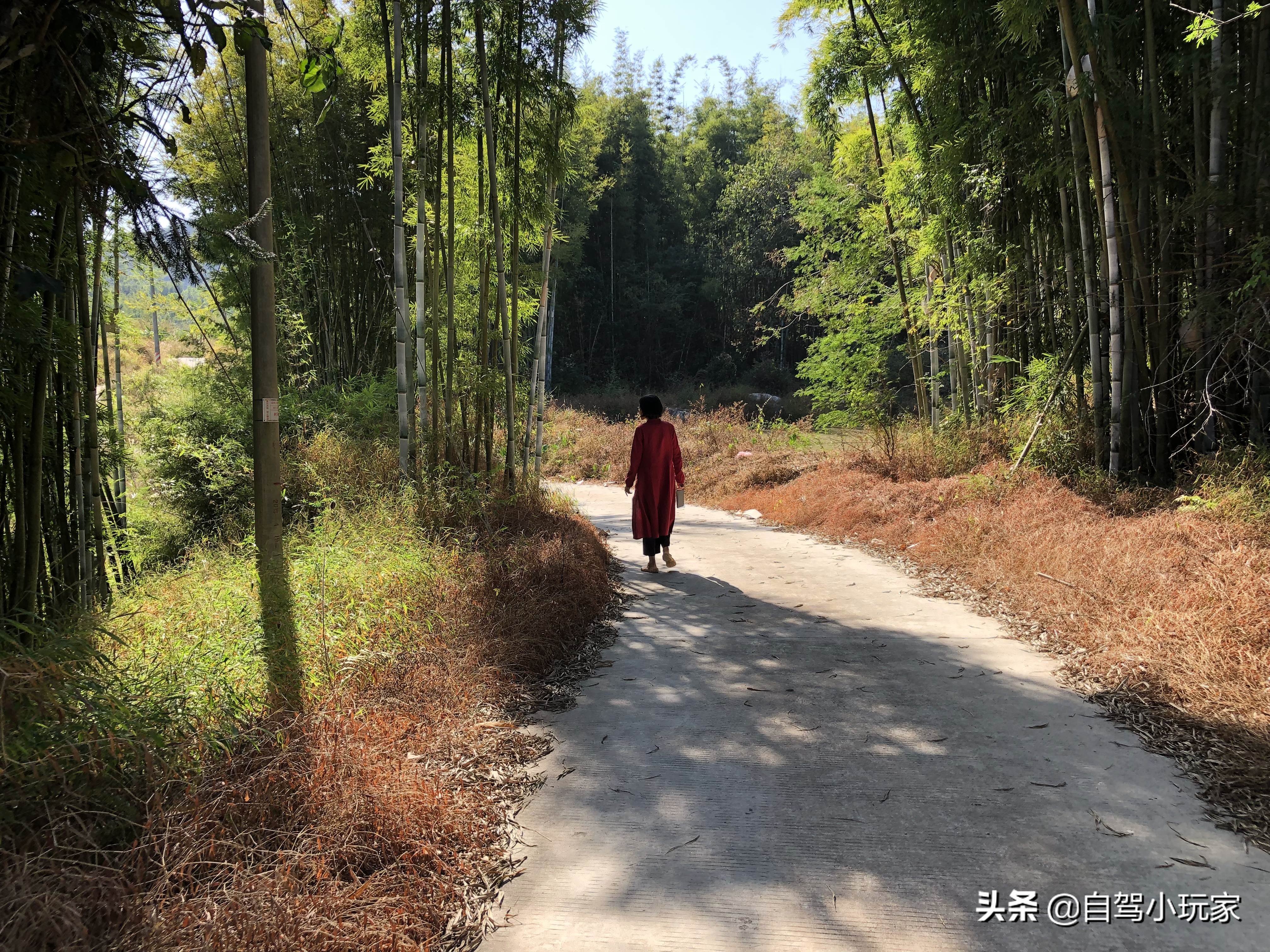 藏在深山老林的温泉,天然野温泉广东