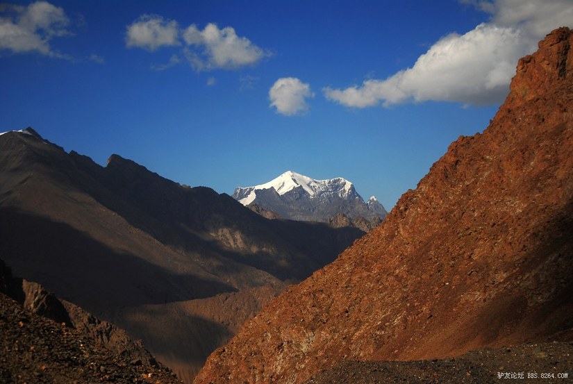 狼c调简谱教唱,狼c