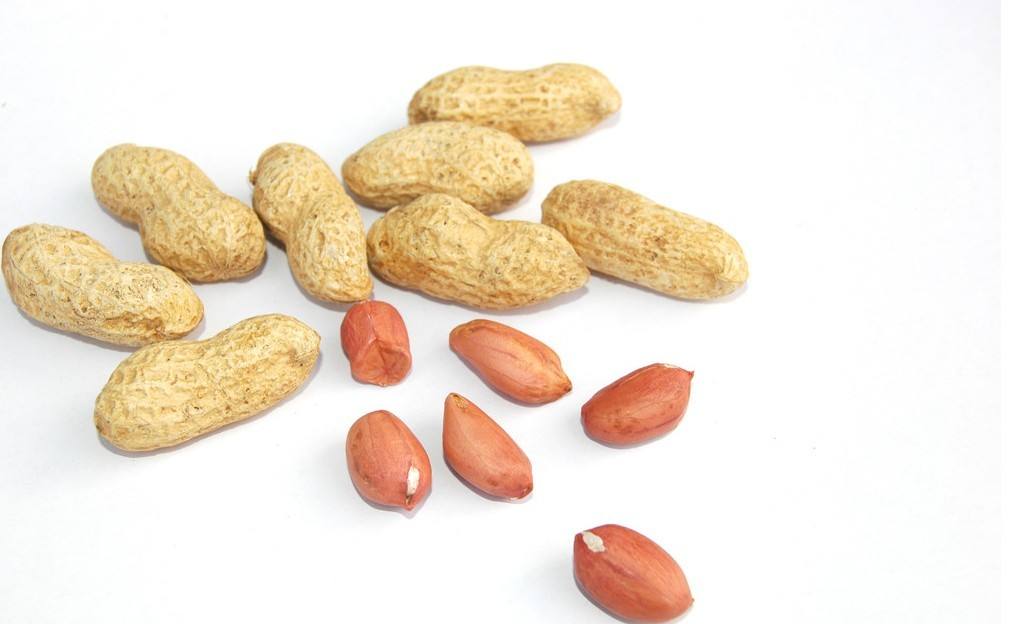 公认燃脂最快的十大食物,公认最燃脂的东西