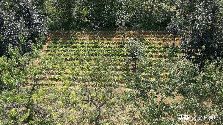 保定市骑行去狼牙山走哪条路线好,保定自驾易县狼牙山看云海