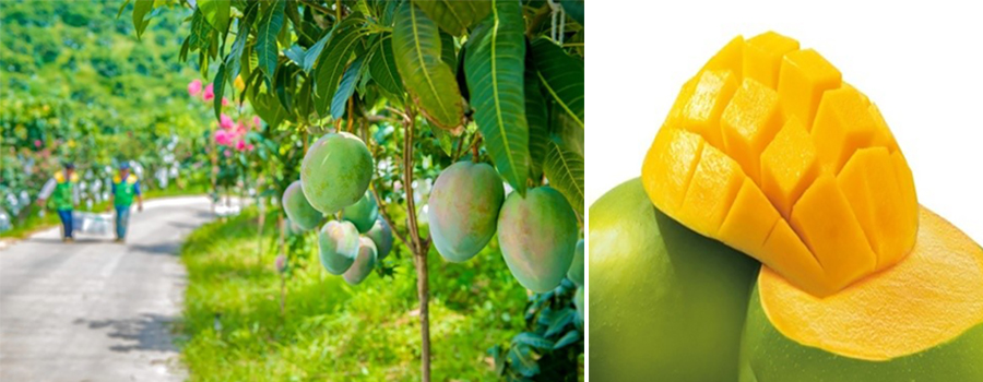 “英雄攀枝花、阳光康养地”——这座城市世人惊叹!