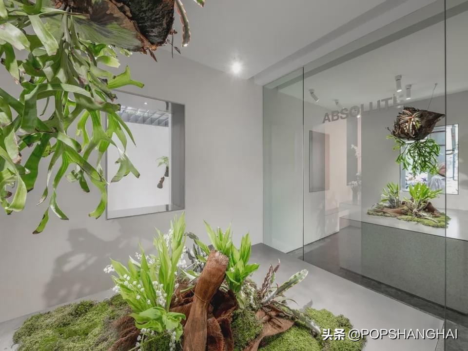 安福附近美景打卡点,安福打卡地景区