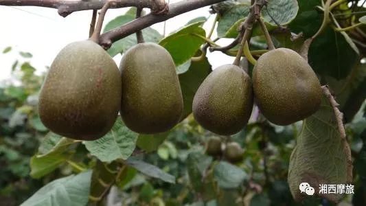 湘西周边摩旅路线推荐,想旅游去哪里找攻略