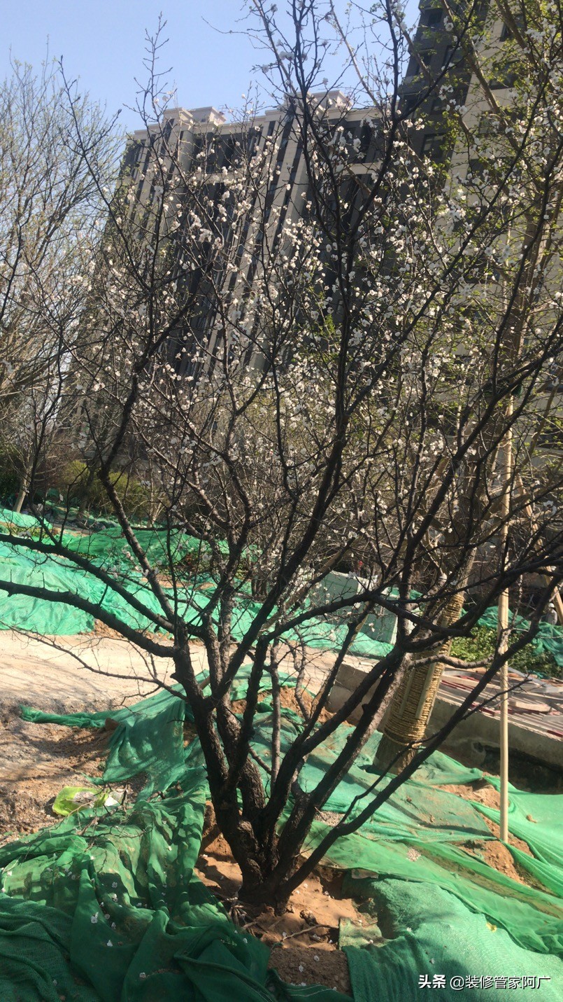 华润橡树湾二期值得买吗,华润橡树湾最好的楼盘