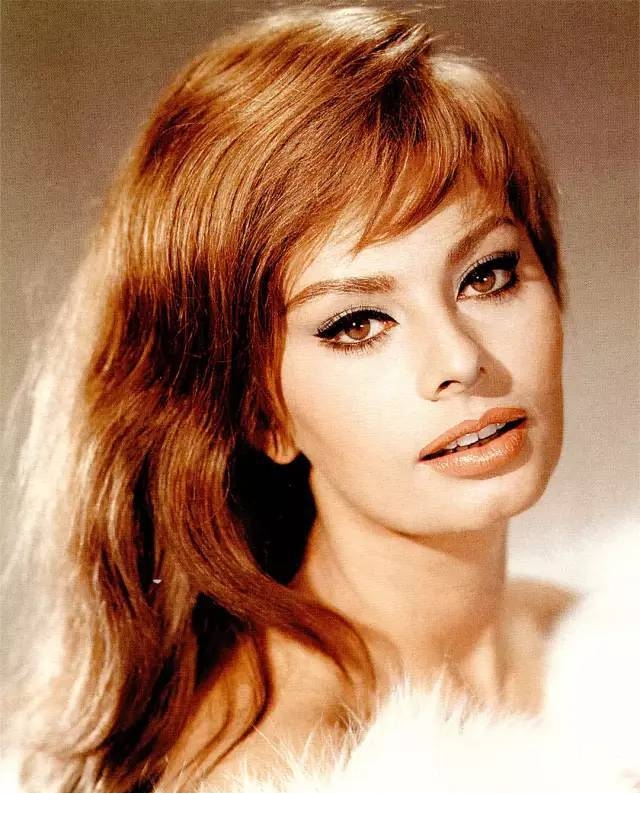 索菲亚罗兰女性特征,索菲亚罗兰年轻时的样子